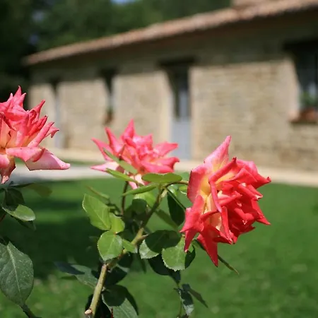 Borgo Le Terre Del Szálloda 4*